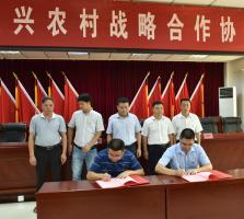 福建9159金莎游艺场践行”绿水青山就是金山银山“  推进毛竹林经营碳汇项目开发