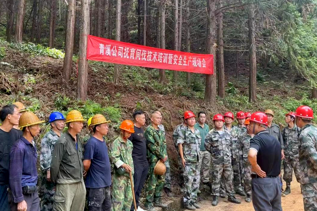 加强森林抚育示范管理，促进森林质量精准提升