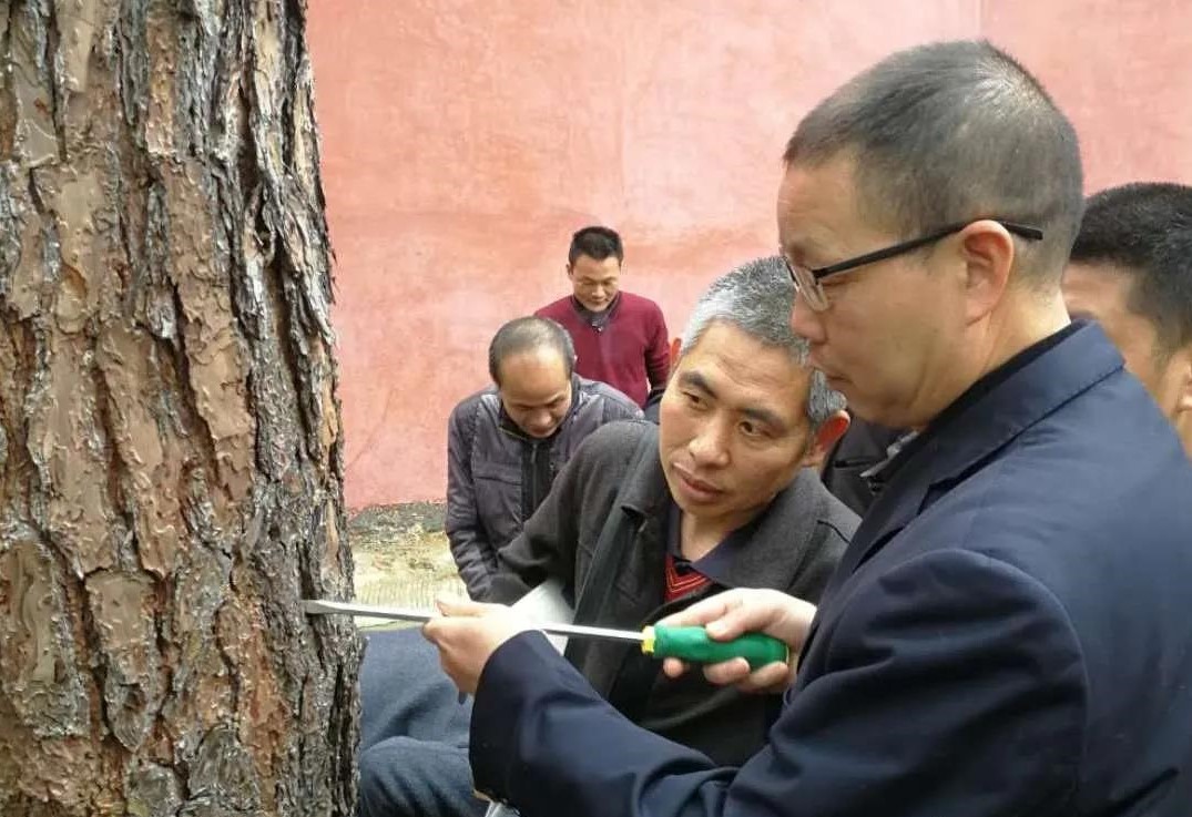 9159金莎游艺场公司开展森林病虫害防治培训