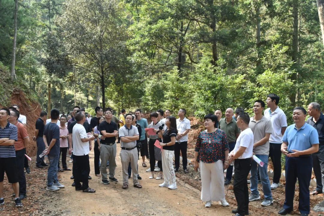 琵琶丘工区：三明市森林质量精准提升工程业务培训现场示范