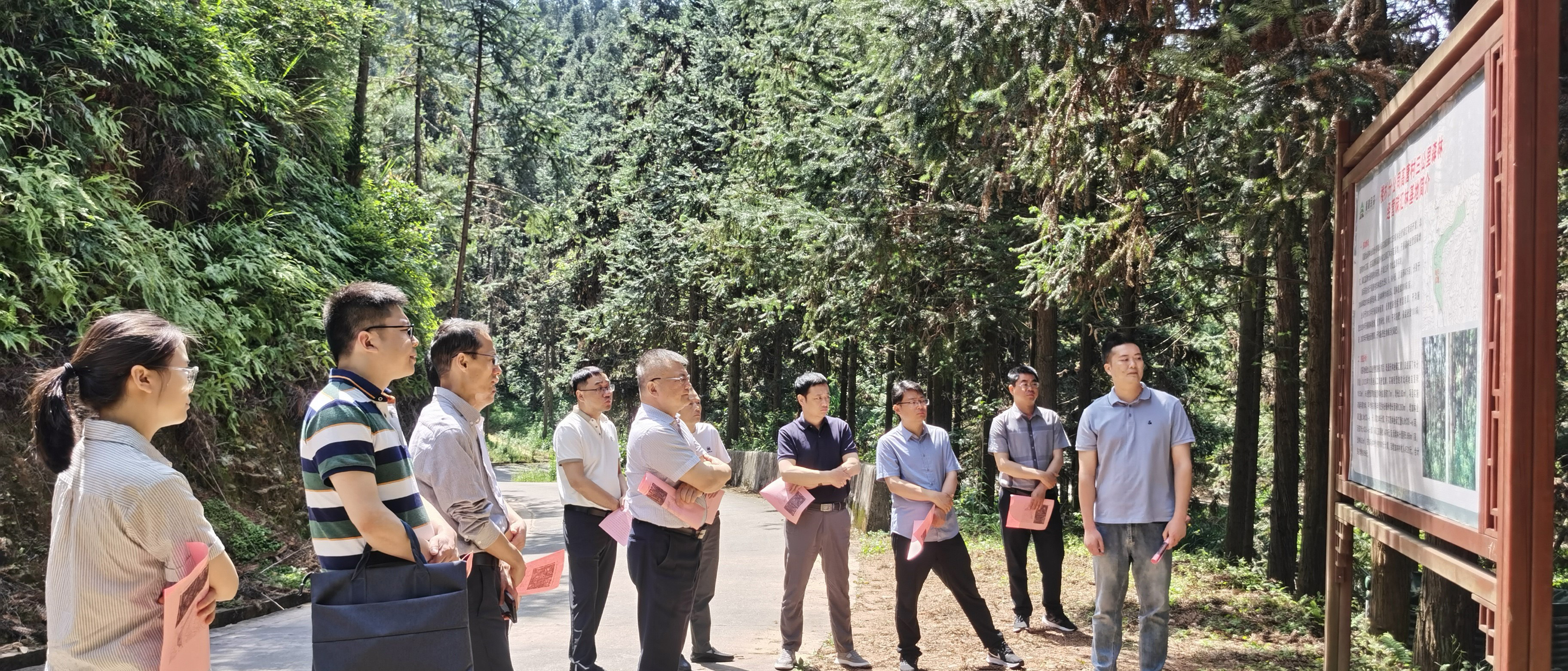安徽省宣城市林业局赴福建9159金莎游艺场参观碳汇林建设
