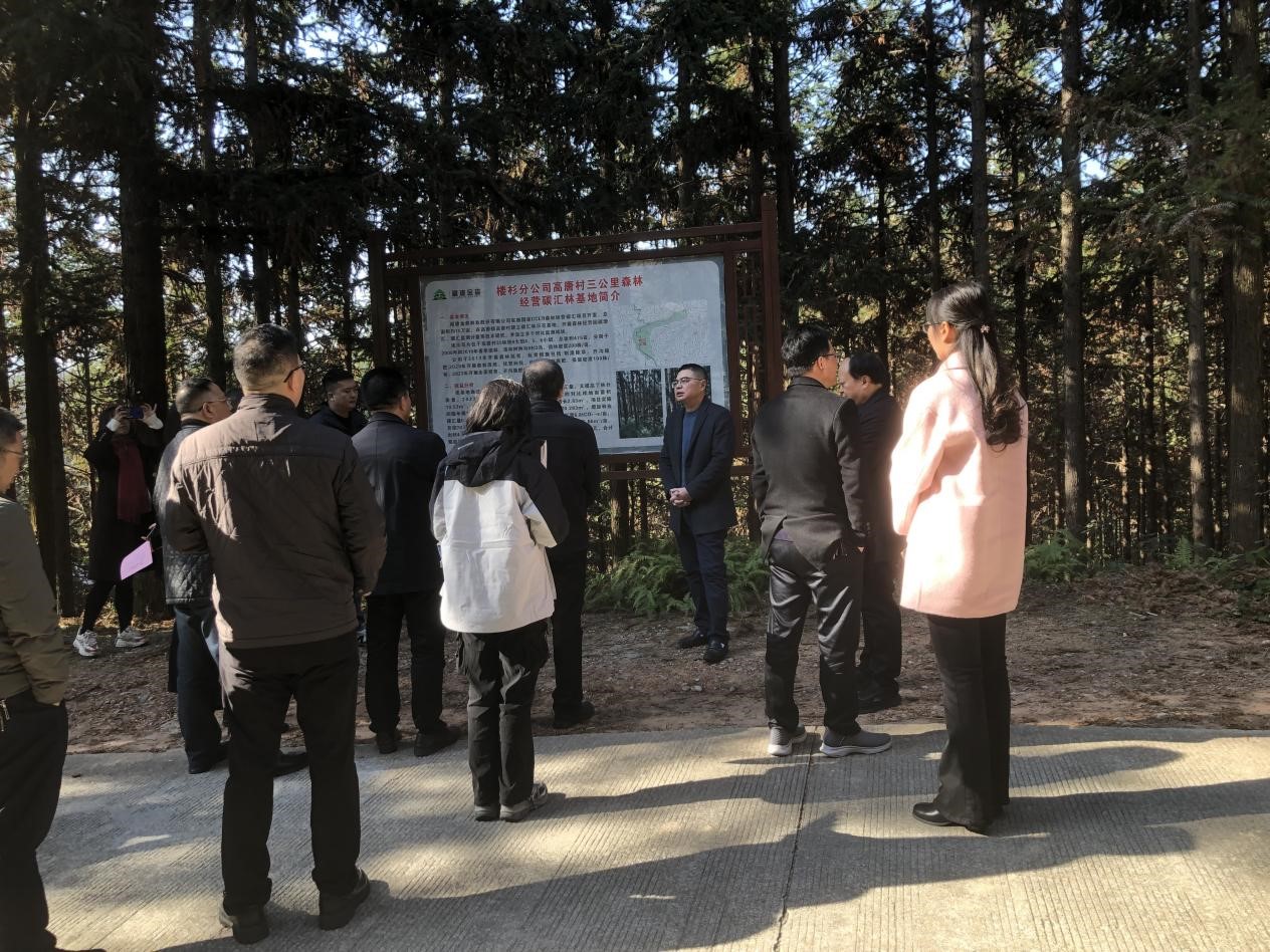 重庆市林业局一行至福建9159金莎游艺场考察